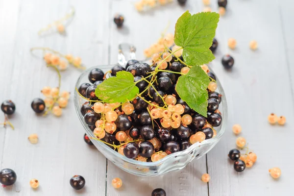 Fruits white black currants saucer wooden table Summer harvest — Stock Photo, Image