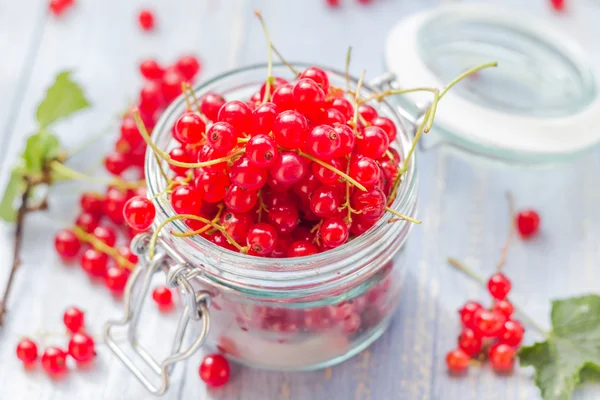 Frische rote Johannisbeere Fruchtglas Holztisch — Stockfoto