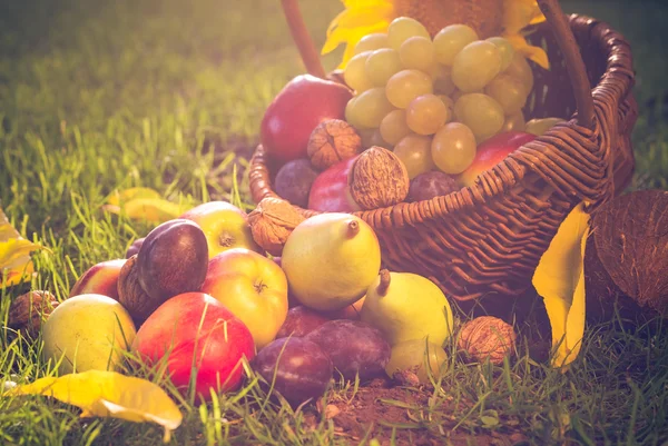 Cesta llena frutas hierba puesta del sol luz — Foto de Stock