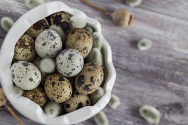 Küçük Bıldırcın yumurta ahşap masa yemek veritabanı dağınık