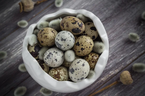 Small quail eggs wooden table dish  scattered database — Stock Photo, Image