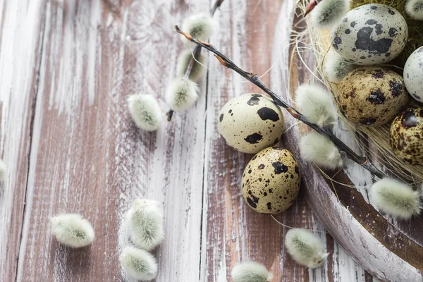 Fondo de Pascua huevos de codorniz catkins mesa de madera — Foto de Stock