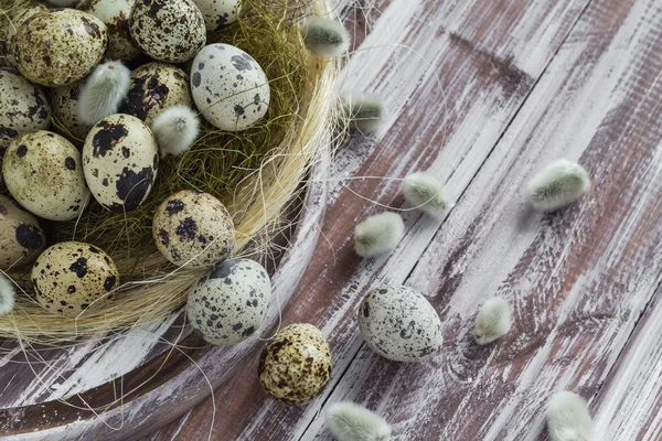 Easter background quail eggs catkins wooden table — Stock Photo, Image