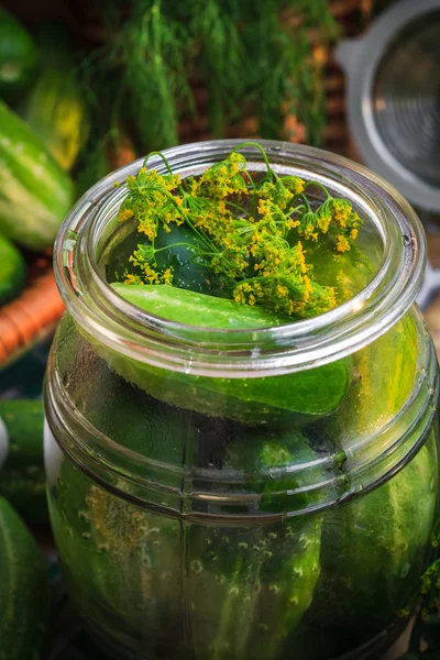 Närbild burk saltgurka andra ingredienser betning — Stockfoto