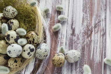 Paskalya arka plan Bıldırcın yumurta kedicikler ahşap masa