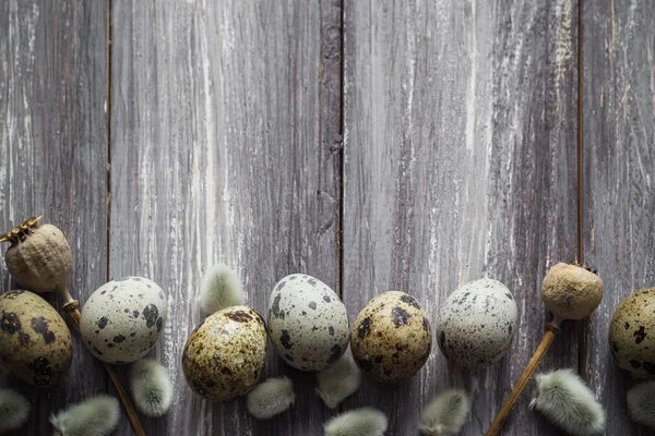 Fondo de Pascua huevos de codorniz catkins mesa de madera — Foto de Stock