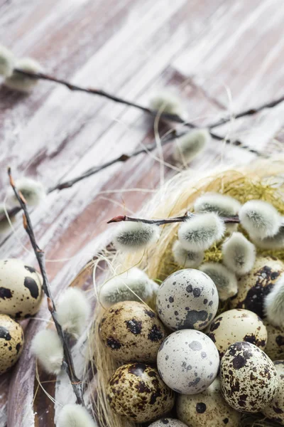 Fondo de Pascua huevos de codorniz catkins mesa de madera — Foto de Stock