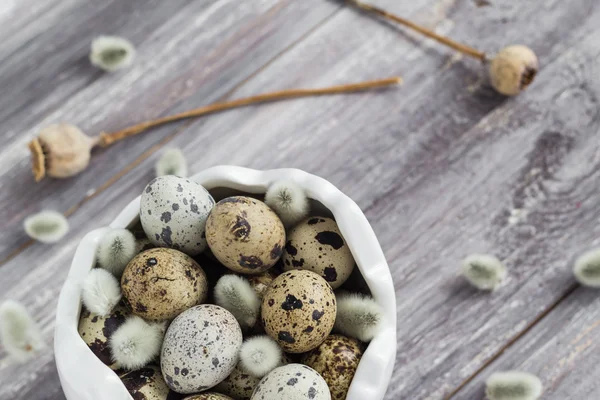 Small quail eggs wooden table dish  scattered database — Stock Photo, Image