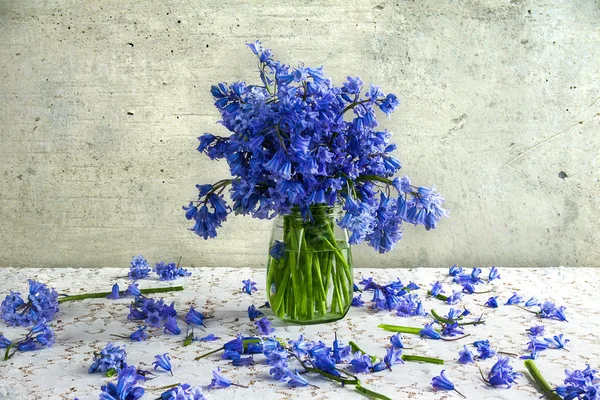 Naturaleza muerta ramo tonos azules — Foto de Stock