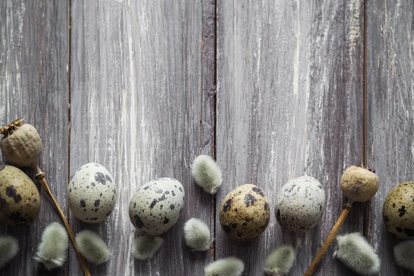 Easter background quail eggs catkins wooden table — Stock Photo, Image