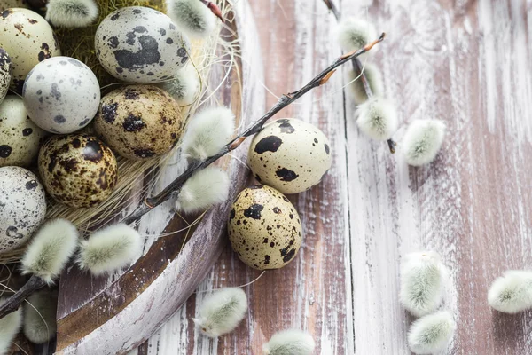 Fondo de Pascua huevos de codorniz catkins mesa de madera — Foto de Stock