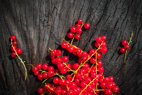 Red currant fruit scattered wooden bench table — Stock Photo, Image