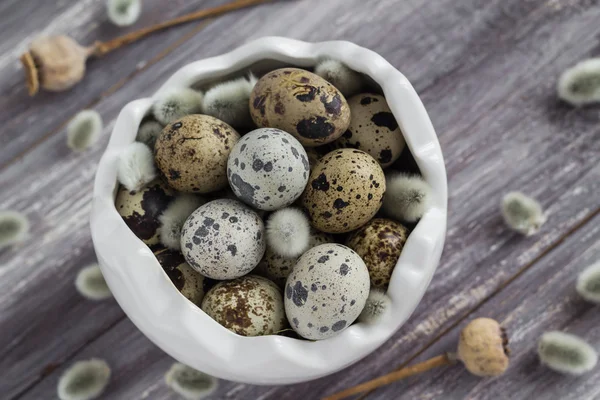 Маленькие перепелиные яйца деревянные тарелки базы данных — стоковое фото