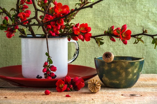 Natura morta bouquet crespino — Foto Stock