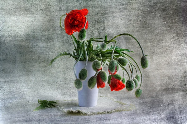Still Life bouquet red poppies — Stock Photo, Image