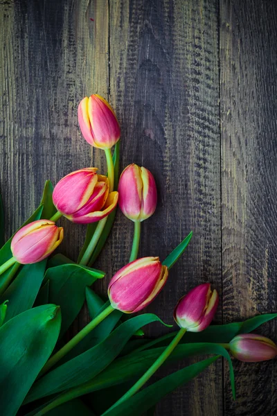 Art abstract achtergrond spring tulpen houten ontwerp — Stockfoto