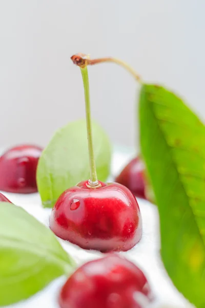 Primer plano postre de crema de frutas de cereza — Foto de Stock