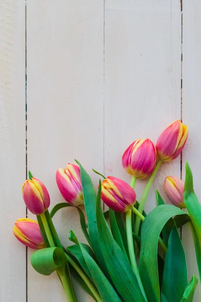 Umění abstraktní pozadí na jaře tulipány dřevěné konstrukce — Stock fotografie