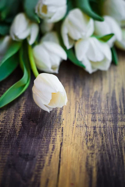 Искусство абстрактный фон весной тюльпаны деревянный дизайн — стоковое фото
