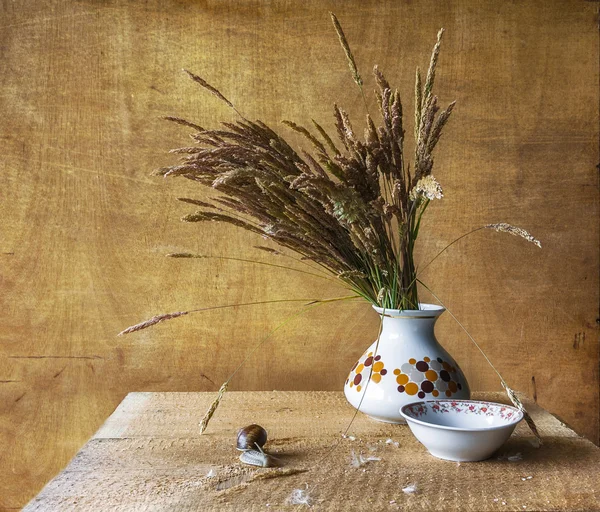 Натюрморт з букетом сушені дикі трави черв'як — стокове фото