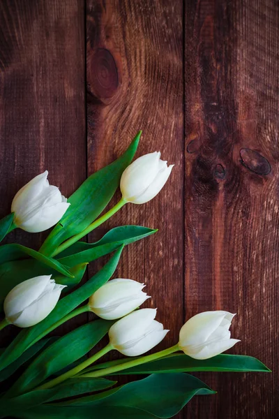 Art abstract achtergrond spring tulpen houten ontwerp — Stockfoto