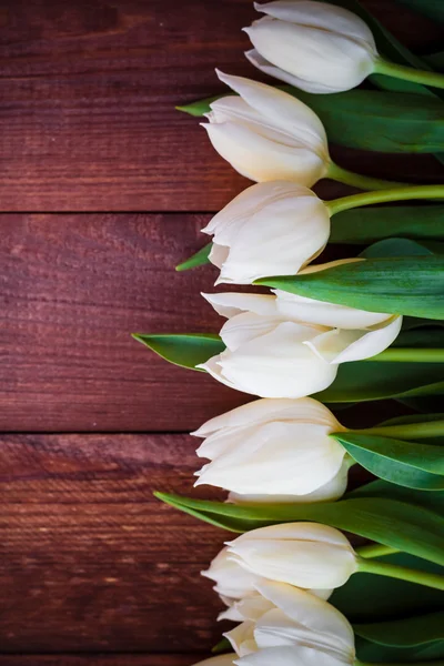 Art abstrait fond printemps tulipes design en bois — Photo
