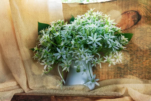 Bodegón pequeño racimo floretes blanco ventana — Foto de Stock