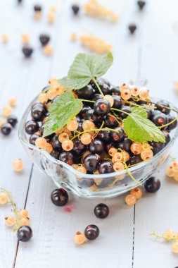 meyveler beyaz siyah kuş üzümü uçan daire ahşap tablo