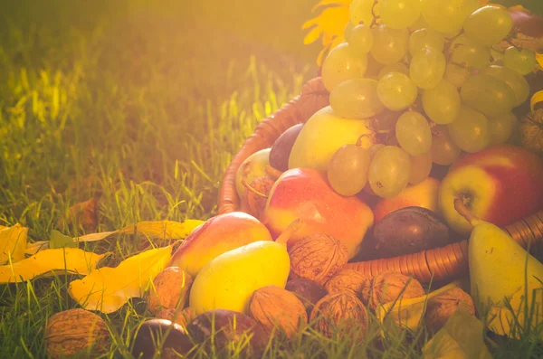 Καλάθι γεμάτο φρούτα χόρτο ηλιοβασίλεμα φως — Φωτογραφία Αρχείου