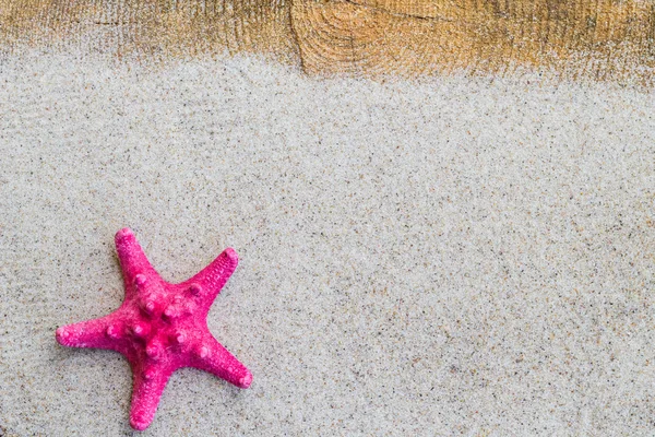 Tavola di sabbia shell mare — Foto Stock