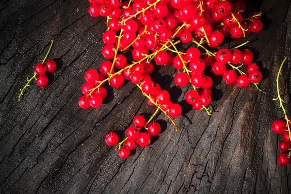 Czerwona porzeczka owoc rozrzucone drewniane ławki stół — Zdjęcie stockowe
