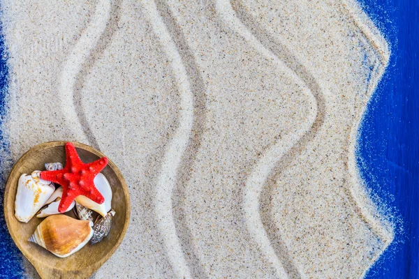 Schelpen gekleurde lepel strand zand — Stockfoto