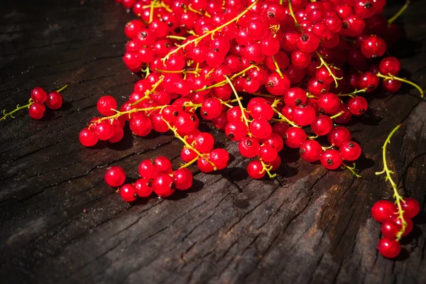 Red currant fruit scattered wooden bench table — Stock Photo, Image