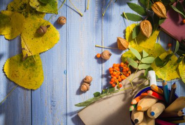 kalem kitap kavramı geri okul sonbahar meyve