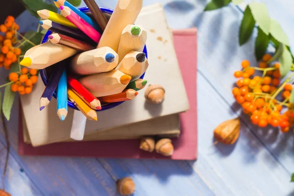 Lápis livros conceito volta escola fruta do outono — Fotografia de Stock