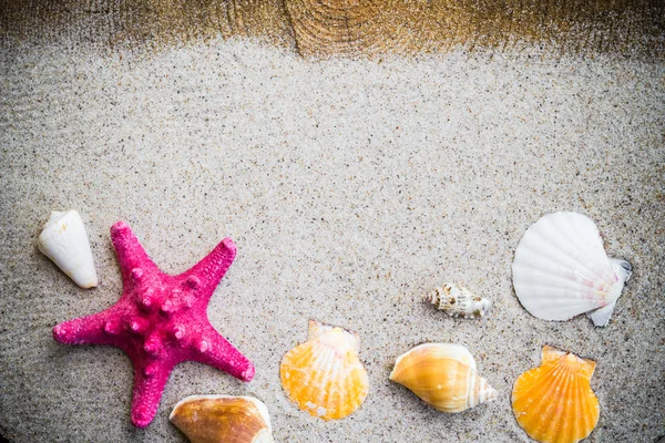 Conchas de mar colorido tablero de arena — Foto de Stock