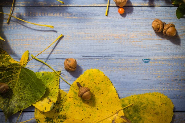 Outono fundo deixa frutas mesa azul — Fotografia de Stock