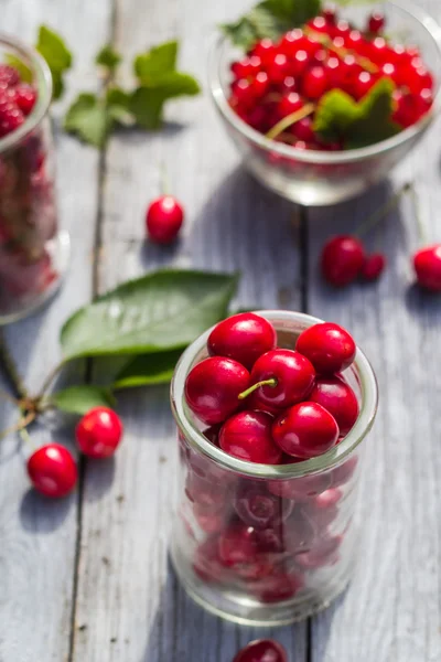 Table de fruits framboises aux cerises fraîchement cueillies — Photo