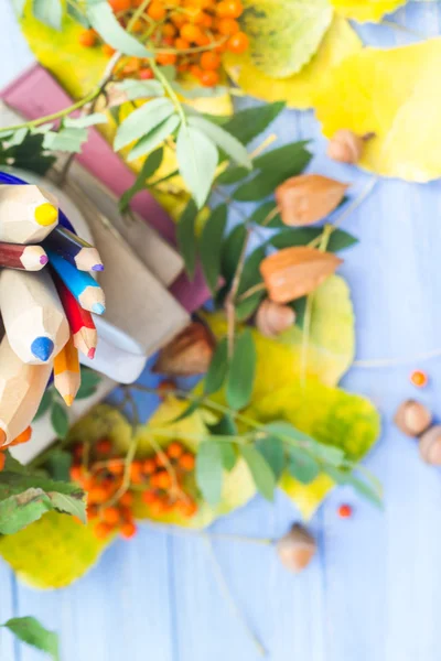 Bleistifte Bücher Konzept zurück Schule Herbst Obst — Stockfoto