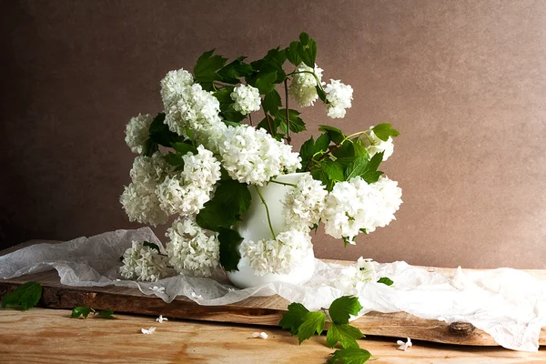 Csendélet csokor fehér labdarózsa gallyak virág — Stock Fotó