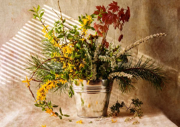 Still life bunch gifts forest — Stock Photo, Image