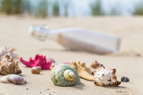 Colorful sea shells bottle background — Stock Photo, Image