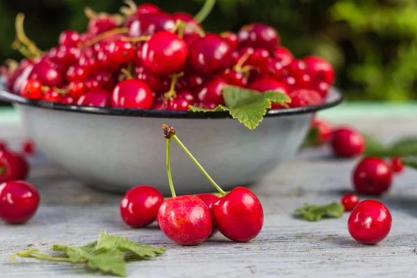 Tigela de frutas groselhas de cerejas cheias — Fotografia de Stock