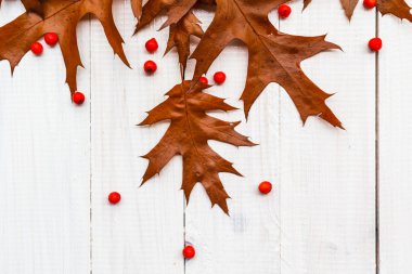 Brown rowan beyaz tahtalar kompozisyon sonbahar yaprakları