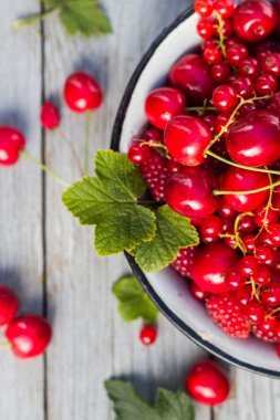 Çelik kase çeşitli meyve dolu