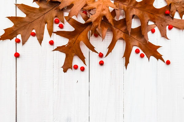 Brown foglie sorbo bianco tavole composizione autunno — Foto Stock