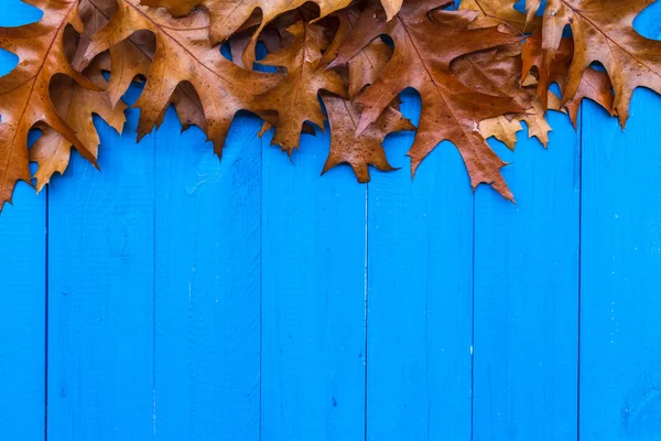 Autunno sfondo foglie tavole blu — Foto Stock