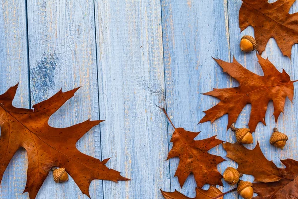 Regalos otoño madera fondo composición vintage — Foto de Stock