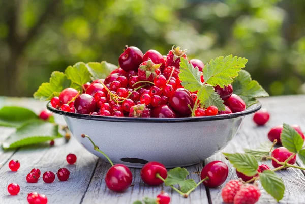 Holztisch mit frischen Früchten — Stockfoto