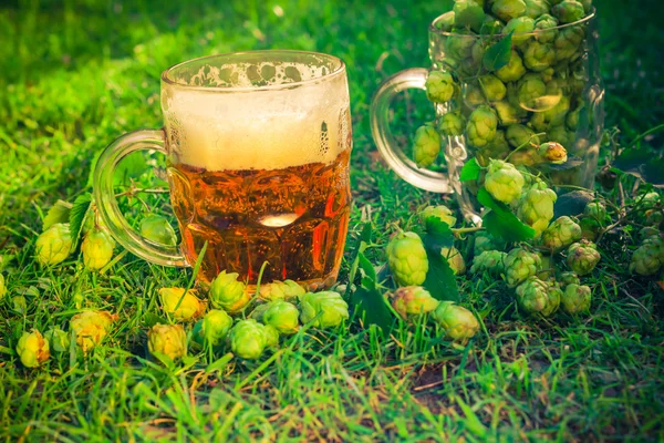 Tanks voller Hopfenzapfen Bier — Stockfoto